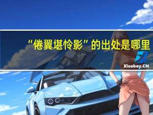 “倦翼堪怜影”的出处是哪里