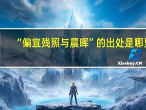 “偏宜残照与晨晖”的出处是哪里