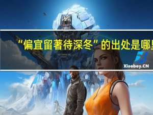 “偏宜留著待深冬”的出处是哪里