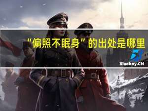 “偏照不眠身”的出处是哪里