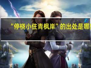 “停桡小住青枫岸”的出处是哪里