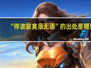 “停波寂寞虽无语”的出处是哪里