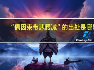 “偶因束带悲腰减”的出处是哪里
