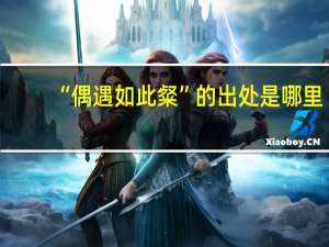 “偶遇如此粲”的出处是哪里