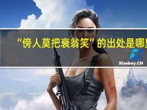 “傍人莫把衰翁笑”的出处是哪里