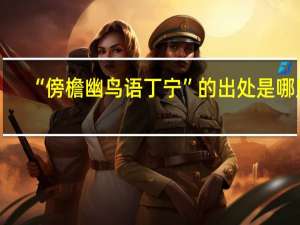 “傍檐幽鸟语丁宁”的出处是哪里