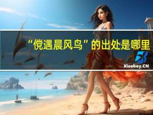 “傥遇晨风鸟”的出处是哪里