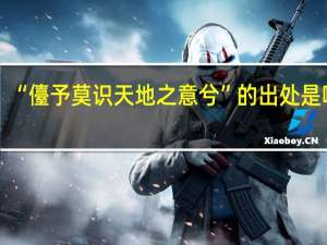 “儓予莫识天地之意兮”的出处是哪里