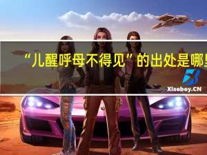 “儿醒呼母不得见”的出处是哪里