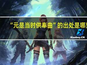 “元是当时供奉曲”的出处是哪里