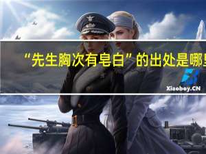 “先生胸次有皂白”的出处是哪里
