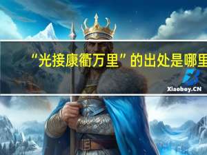 “光接康衢万里”的出处是哪里