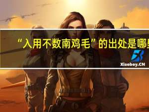 “入用不数南鸡毛”的出处是哪里