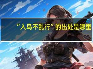 “入鸟不乱行”的出处是哪里