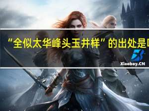 “全似太华峰头玉井样”的出处是哪里