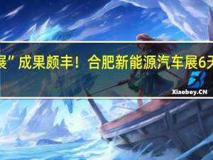 “全域车展”成果颇丰！合肥新能源汽车展6天实现销售额31.7亿元