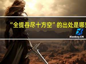 “全提吞尽十方空”的出处是哪里