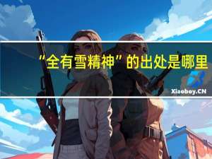 “全有雪精神”的出处是哪里