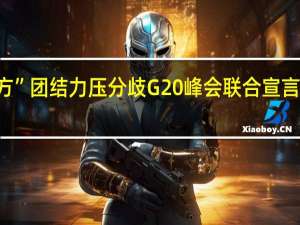 “全球南方”团结力压分歧G20峰会联合宣言令西方“意外”