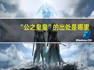 “公之皇皇”的出处是哪里