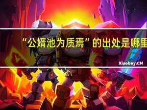 “公婿池为质焉”的出处是哪里