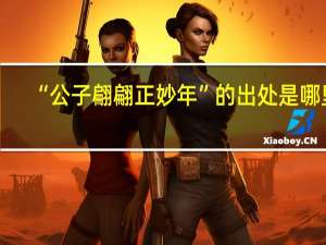 “公子翩翩正妙年”的出处是哪里
