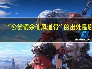 “公尝谓余仙风道骨”的出处是哪里