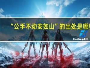 “公手不动安如山”的出处是哪里