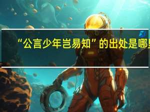 “公言少年岂易知”的出处是哪里