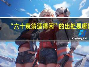 “六十衰翁适得闲”的出处是哪里