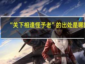“关下相逢怪予老”的出处是哪里