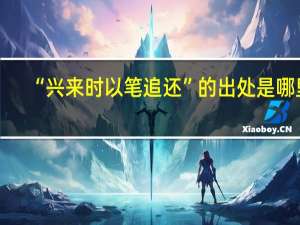 “兴来时以笔追还”的出处是哪里