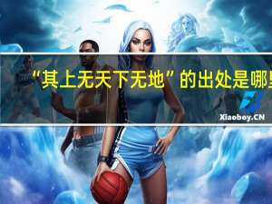 “其上无天下无地”的出处是哪里
