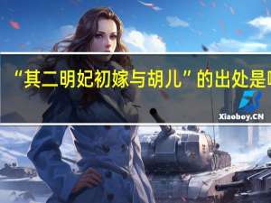 “其二明妃初嫁与胡儿”的出处是哪里