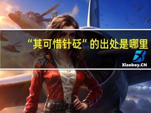 “其可惜针砭”的出处是哪里