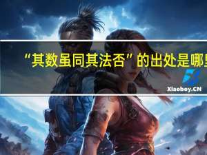 “其数虽同其法否”的出处是哪里