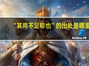“其用不足称也”的出处是哪里