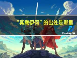 “其载伊何”的出处是哪里