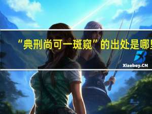 “典刑尚可一斑窥”的出处是哪里