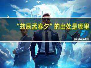 “兹辰孟春夕”的出处是哪里