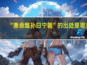 “兼命雏孙曰宁馨”的出处是哪里