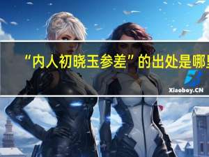 “内人初晓玉参差”的出处是哪里