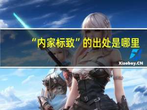 “内家标致”的出处是哪里