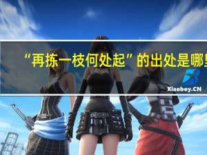 “再拣一枝何处起”的出处是哪里
