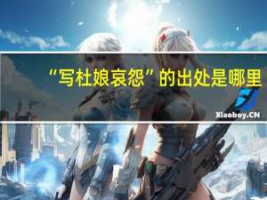 “写杜娘哀怨”的出处是哪里