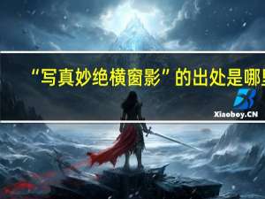 “写真妙绝横窗影”的出处是哪里