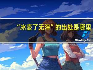 “冰壶了无滓”的出处是哪里