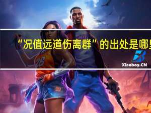 “况值远道伤离群”的出处是哪里