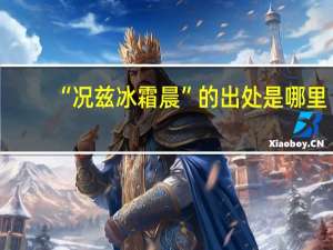 “况兹冰霜晨”的出处是哪里