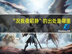 “况我夜初静”的出处是哪里